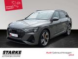 Audi e-tron 50 quattro S line Black Edition ACC AAS B