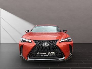 Lexus UX - 8