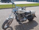 Harley-Davidson Sportster XLH 883 - Angebote