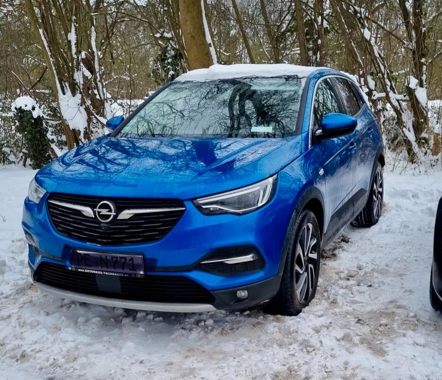 Image of Opel Other