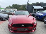 Ford Mustang Basis Convertible Tuv neu1.Jahr Garantie - Ford Mustang in Mannheim