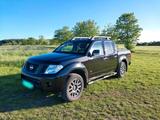 Nissan Navara D40 V6 - Nissan Navara: D 40