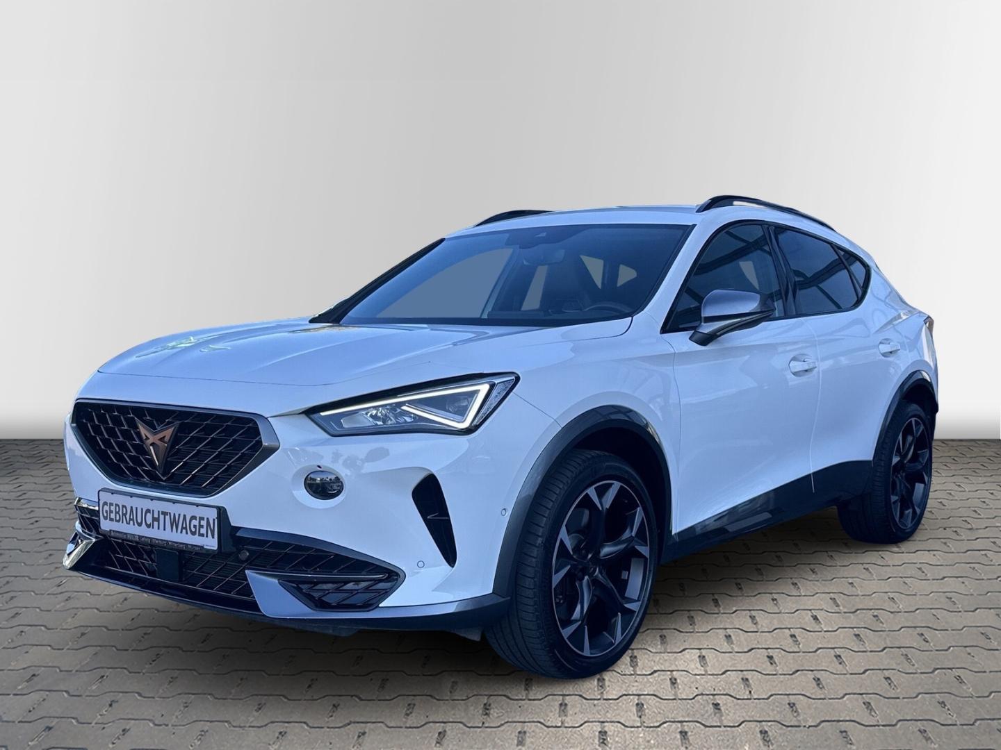 Cupra Formentor VZ 2.0 TSI 228 kW 7-Gang DSG*LED*elekt