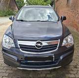 Opel Antara 2.0 CDTI Cosmo 4x4 110kW Automatik Cosmo - Opel Antara aus 2009
