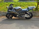 Honda CBR 600 RR - Angebote