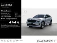 Skoda Kodiaq - Vorschau Bild 1