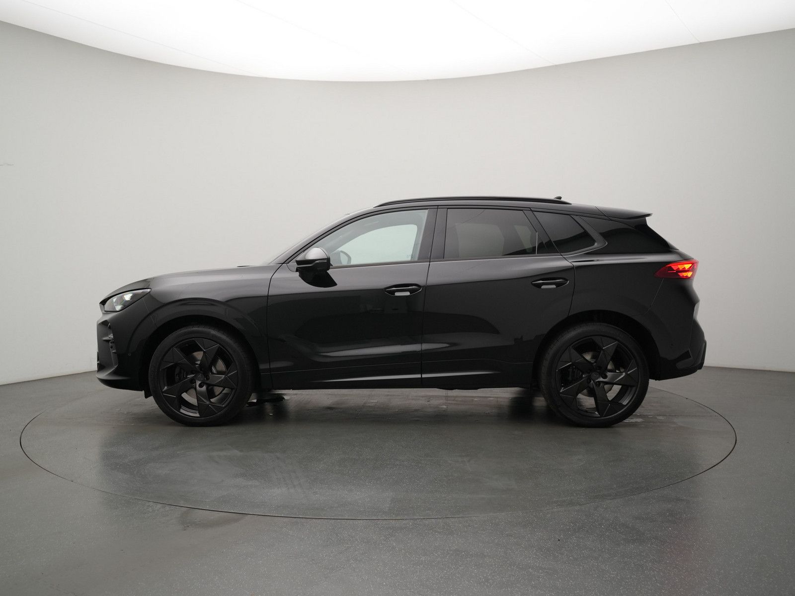Cupra Terramar - Bild 4