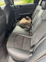 Kia pro_cee'd / ProCeed 1.6 T-GDI DCT GT GT - Kia pro cee'd / ProCeed aus 2020