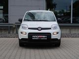 Fiat Pandina 1,0 GSE Klimaanlage PDC M+S - Fiat Panda Pandina mit Hybrid-Antrieb (Benzin/Elektro)