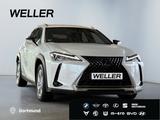 Lexus UX 250h Amazing Edition *Bi-LED*ACC*CAM*CarPlay* - Lexus UX aus 2020