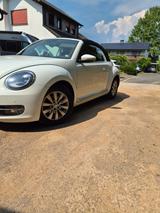 Volkswagen Beetle 2.0 TDI 81kW BMT Cabriolet - - Volkswagen Beetle: TDI