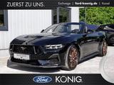 Ford Mustang Cabrio GT 5.0 V8 Aut.+Magne-Ride+B&O+ACC - Ford Mustang mit Benzin-Antrieb: Leder, Cabrio
