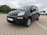 Fiat Panda Pop - Fiat Panda: Pop