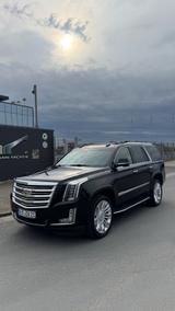 Cadillac Escalade 6.2 V8 Platinum Autom. Platinum - Cadillac Escalade Gebrauchtwagen