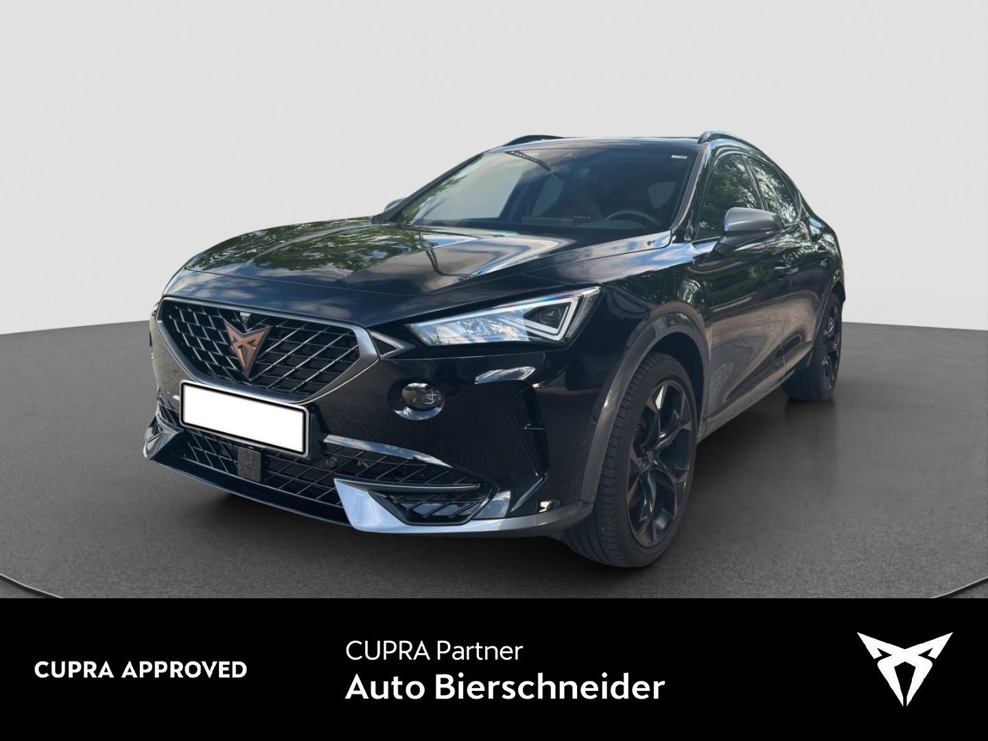 Cupra Formentor 1.4 TSI DSG e-Hybrid VZ AHK PANO NAVI