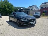 Jaguar XF Chequered Flag AWD - gebrauchte Jaguar XF aus dem Jahr 2019