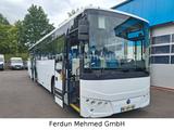 Temsa Tourmalin Light 13 - Cummins Motor -78+1 L:12,8m - Temsa LKWs