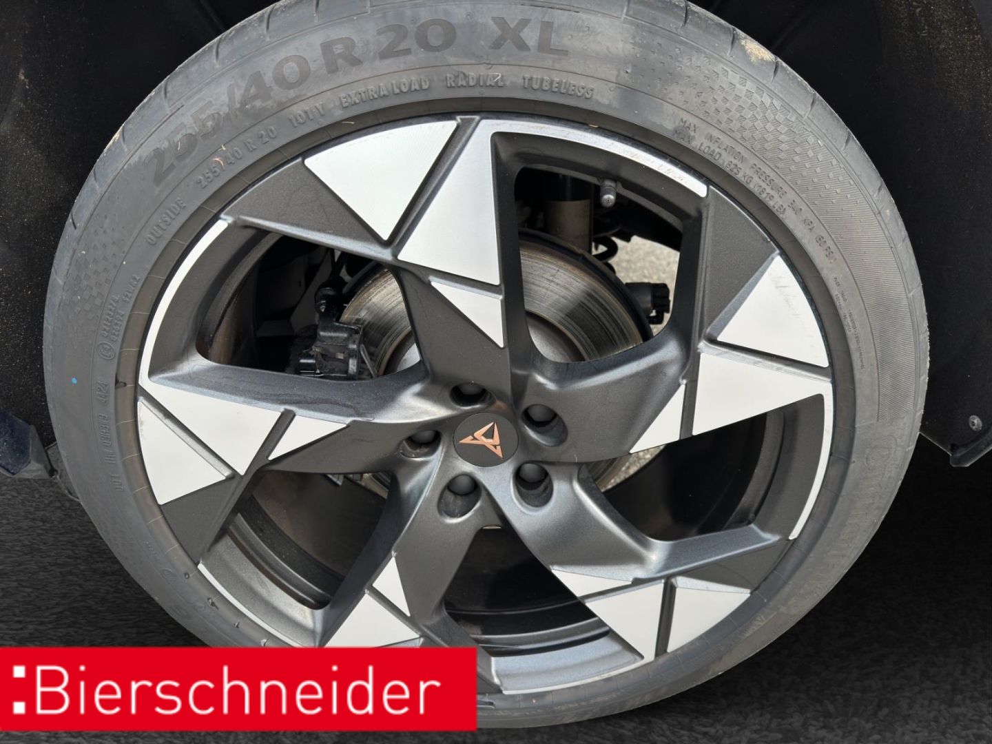 Cupra Terramar - Bild 29