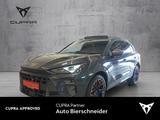 Cupra Terramar VZ 2.0 TSI DSG 4 Drive 20  AHK | INTELL - graue Cupra Terramar