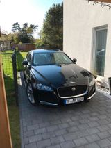 Jaguar XF auf Wunsch mit neuem TÜV - Jaguar XF in Berlin
