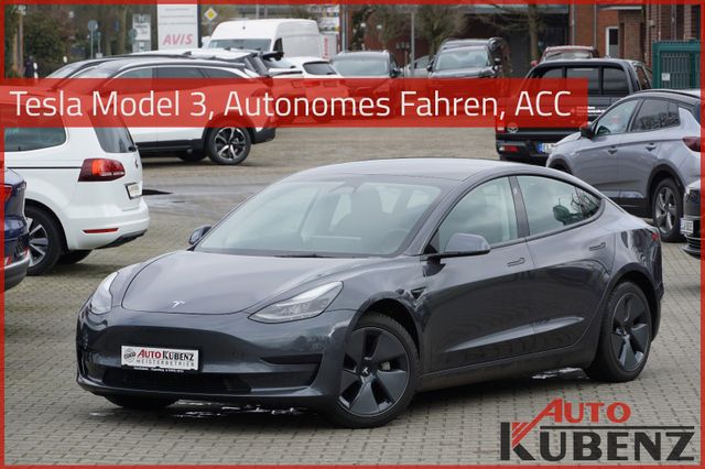 Tesla Model 3 Standard Range Plus RWD Autonomes Fahren