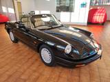 Alfa Romeo Duetto 1.6 Spider - gebrauchte Alfa Romeo Spider aus dem Jahr 1991