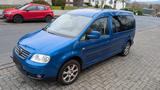 Volkswagen Caddy Maxi 2K Life 140 PS | 7-/5-Sitzer | AHK - Volkswagen Caddy: 140 Ps
