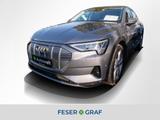 Audi e-tron Sportback 55 advanced Parkassistent/Kam - Audi e-tron: Sportback 55