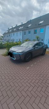 Lexus UX 250 h Executive Line  - Lexus UX Gebrauchtwagen
