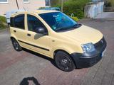 Fiat Panda - Fiat Panda Gebrauchtwagen in Solingen