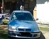 Honda civic mb2 fastback - Honda Civic mit LPG-Antrieb