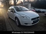 Fiat Grande Punto 1.2 8V Basis/NEU TÜV/GARANTIE! - weiße Fiat Grande Punto
