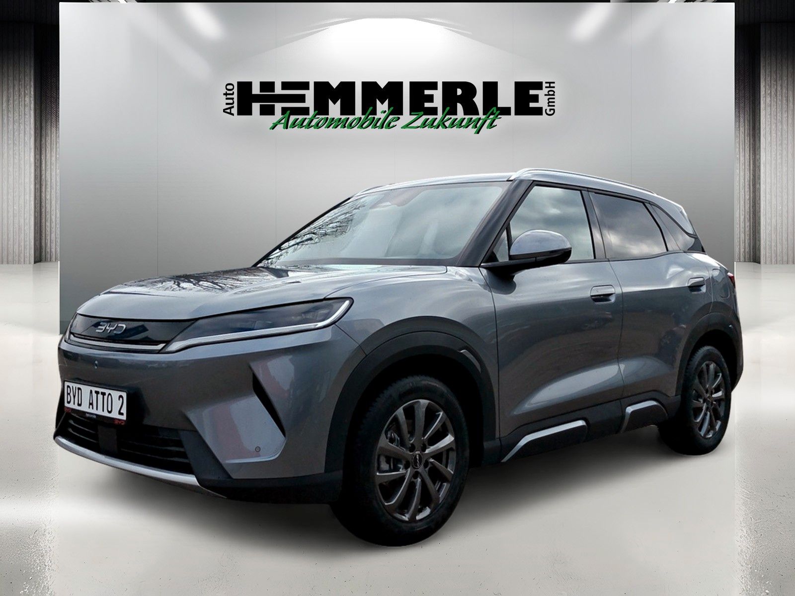 BYD ATTO 2