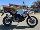 Ducati Desert X (2024 / EZ 2025) - Neuwertig 1.400km - DUCATI X DESERT