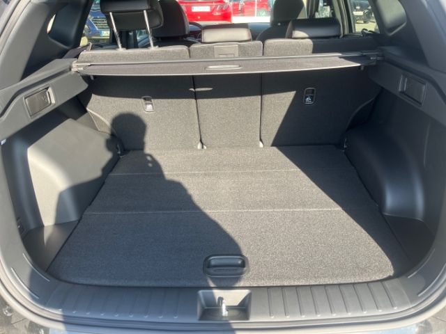 Fahrzeugabbildung Hyundai Tucson FL MY25 7-DCT 2WD N-Line Panoramadach LED