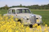 Mercedes-Benz 190 Ponton *Familienbesitz* 39tKm*  Original - Autos aus dem Jahr 1957