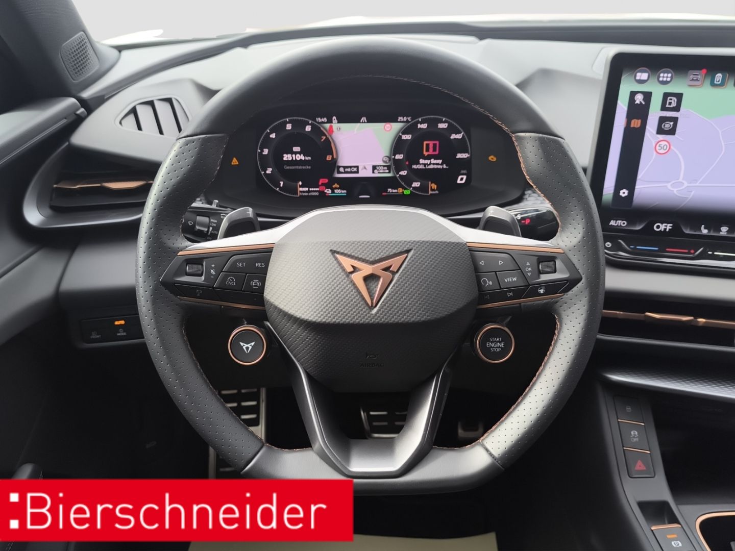 Cupra Terramar - Bild 13