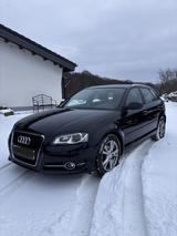 Audi A3 1.6 TDI (DPF) 77kW Ambition Sportback  - Audi A3: Sportback Dpf