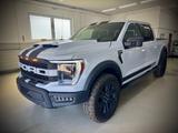 Ford F 150/5.0/V8/4X4/Raptor/ - Ford F 150 mit Benzin-Antrieb: Geländewagen
