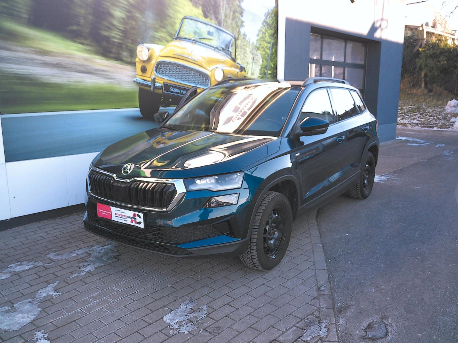 Skoda Karoq Tour 4x4 LED DSG Navi AHK Rüka