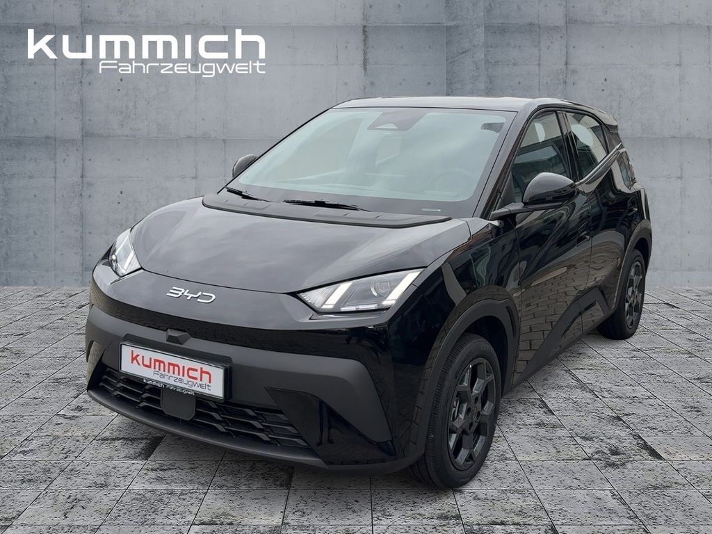 Image of BYD DOLPHIN SURF