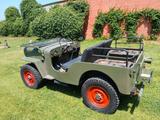 Jeep Cj 3 diesel Autocarro 4 posti - Oldtimer mit Diesel-Antrieb: Kombi