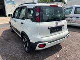 Fiat Panda 1.2 8V CITY CROSS LPG*Benzin*Klima*Sitzh* - gebrauchte Fiat Panda aus dem Jahr 2022