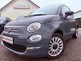 Fiat 500 1.0 DolceVita-Klima-Pano-Alu-Apple CarPlay- - Fiat 500 DOLCEVITA mit Hybrid-Antrieb (Benzin/Elektro)