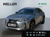 Lexus UX 250h Style Edition *Bi-LED*ACC*CAM*SHZ*CarPla