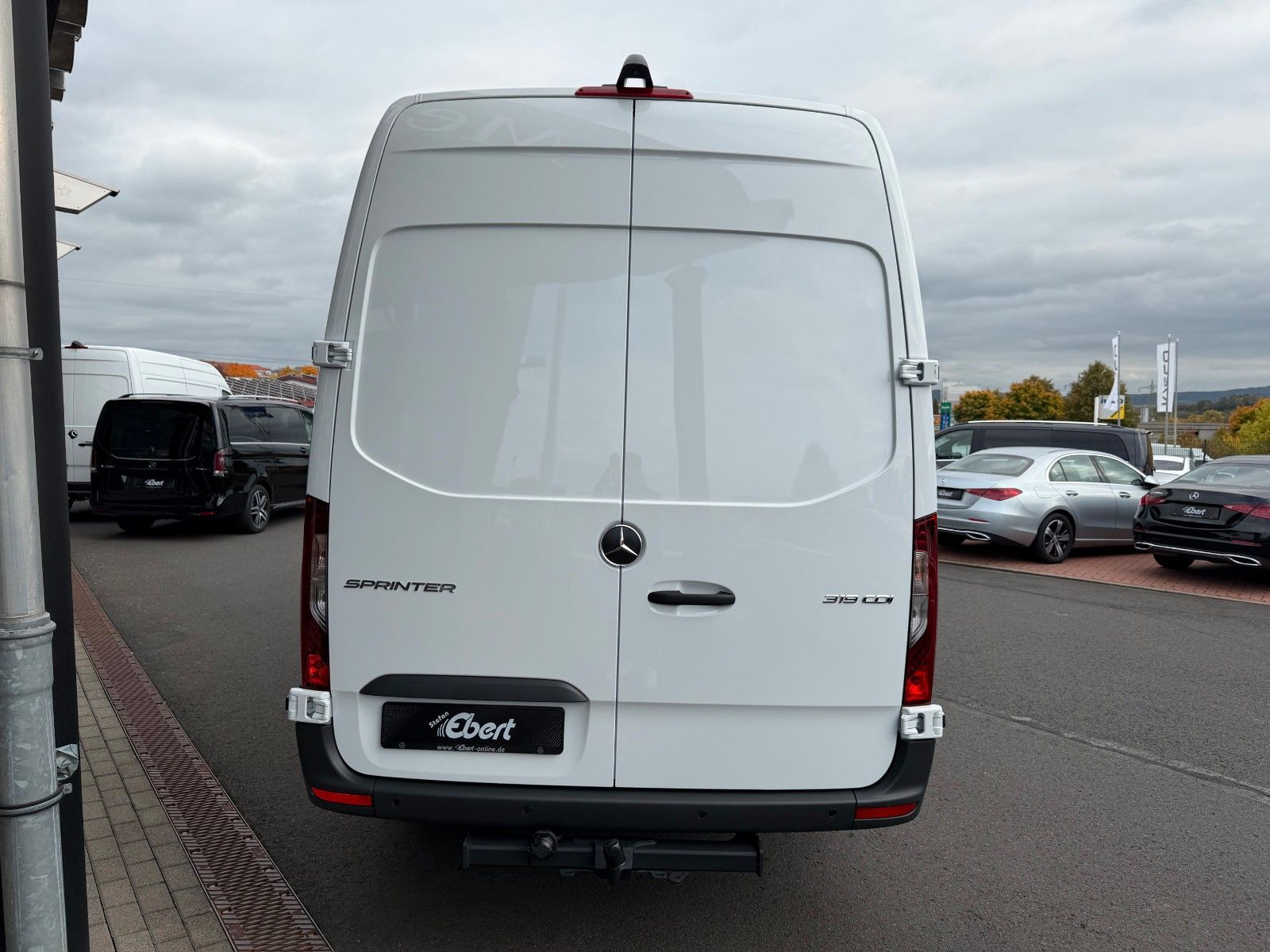 Fahrzeugabbildung Mercedes-Benz Sprinter 319 CDI 4325 DISTRONIC Klima AHK