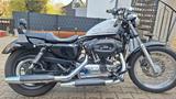 Harley-Davidson XL 1200 L Sportster  - HARLEY-DAVIDSON 2007 SPORTSTER 1200