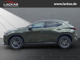 Lexus NX 350 h 243 PS Executive Inter ieur Paket + Tec - Lexus NX 350h Neuwagen
