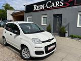 Fiat Panda 1.2 Pop/34TKM/I.HAND/ALLWETTER/TÜV-NEU/ - gebrauchte Fiat Panda aus dem Jahr 2014