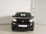 Fiat Panda 1.0 GSE Hybrid - Fiat Panda Jahreswagen